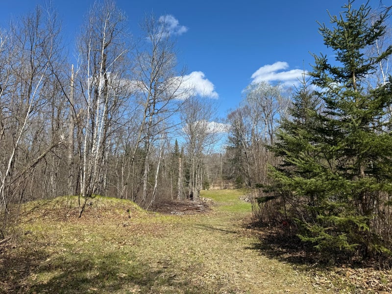 41174 Yellow Birch Ln, Emily, MN 56447