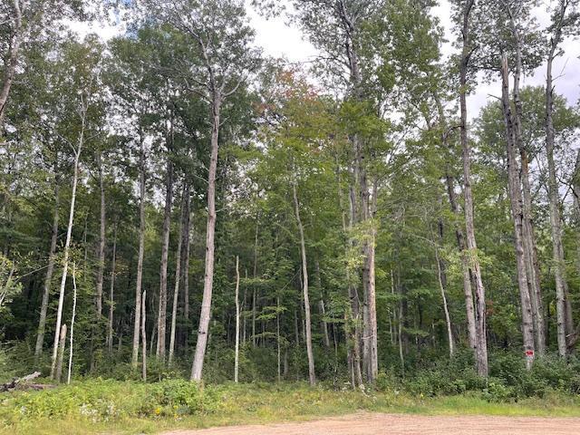 0 Levi Ln, Crosslake, MN 56442