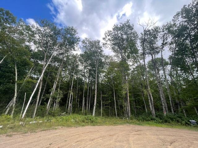 0 Levi Ln, Crosslake, MN 56442