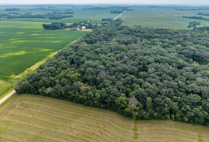 TBD 265th St, Eureka Twp, MN 55024