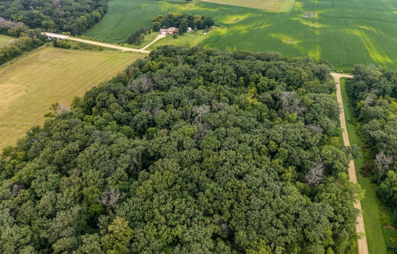 TBD 265th St, Eureka Twp, MN 55024