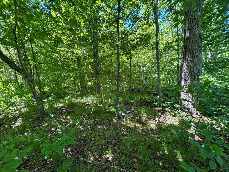 TBD Fawn Trl NE, Longville, MN 56655