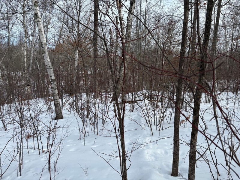 TBD Fawn Trl NE, Longville, MN 56655