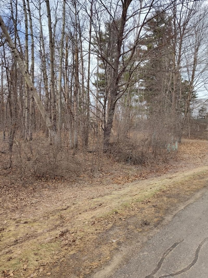 TBD Lot 6 Irene Ave, Ironton, MN 56455