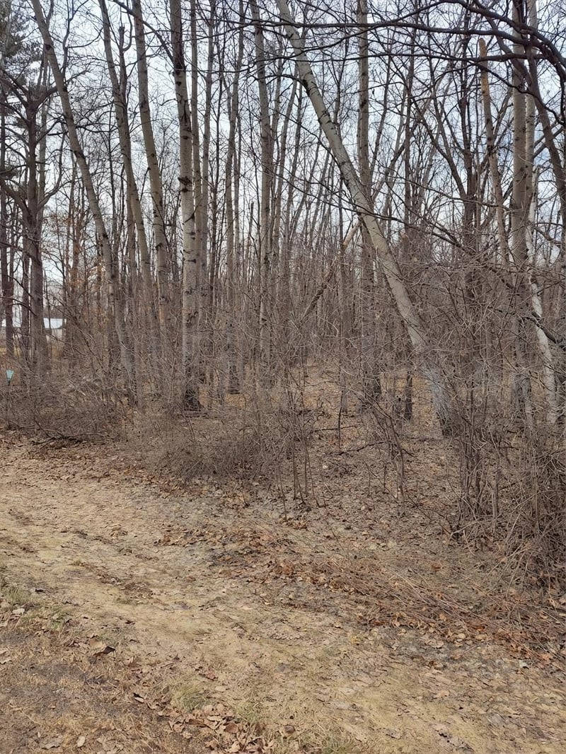 TBD Lot 6 Irene Ave, Ironton, MN 56455