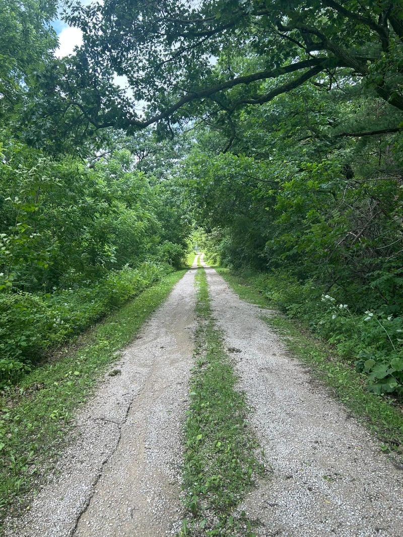 xxx Hwy 52, Fountain, MN 55935