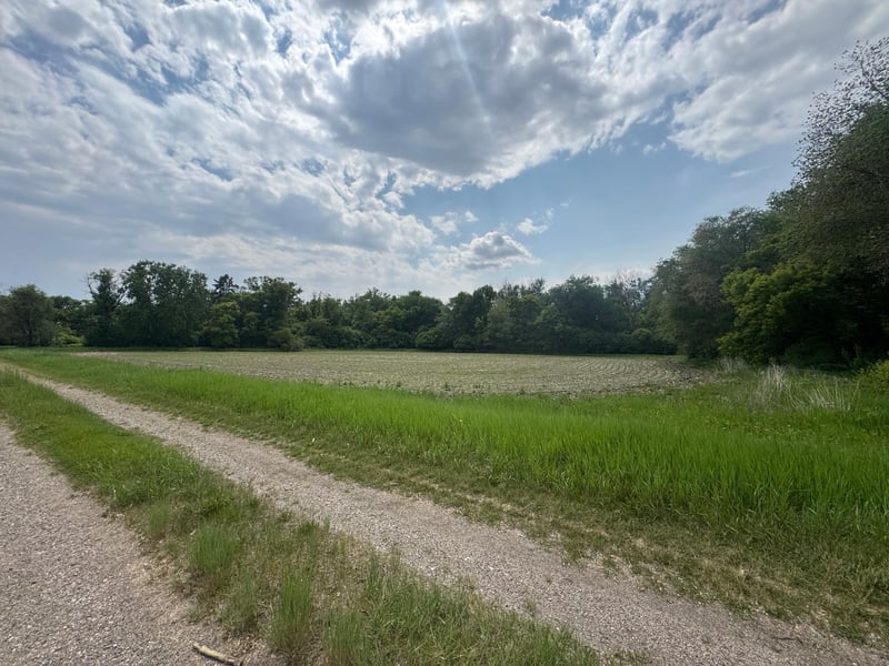 1265 170th St, Wolverton, MN 56594