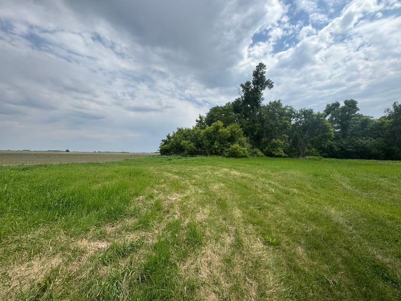 1265 170th St, Wolverton, MN 56594