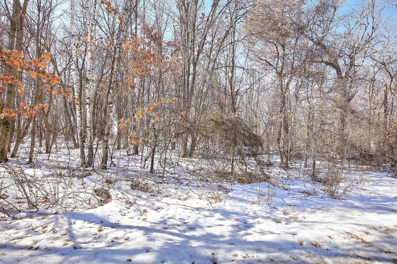 19062 Heather St Nw, Oak Grove, MN 55011