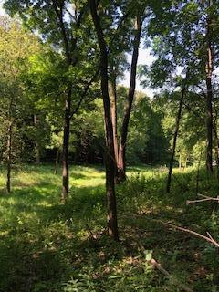 TBD Saratoga St, Mankato, MN 56001