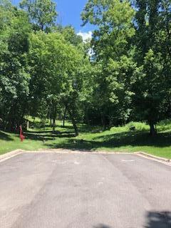 TBD Saratoga St, Mankato, MN 56001