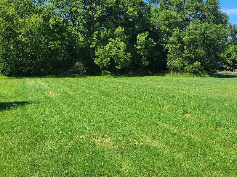 TBD Cedar St, Easton, MN 56025