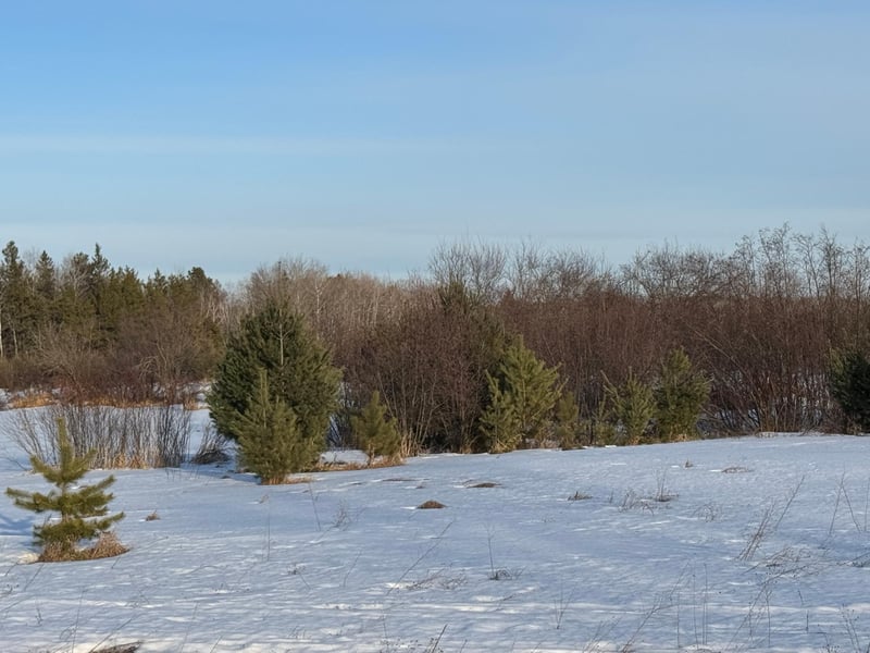 TBD Scotch Pine Rd, Finlayson, MN 55735