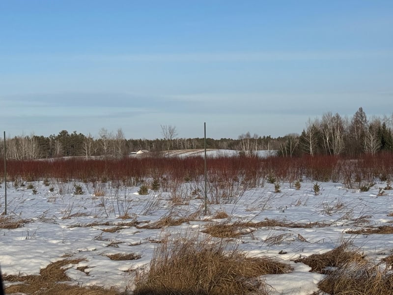 TBD Scotch Pine Rd, Finlayson, MN 55735