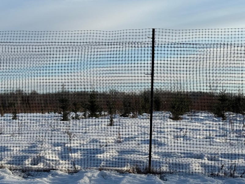 TBD Scotch Pine Rd, Finlayson, MN 55735