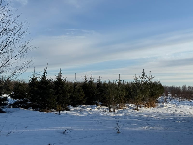 TBD Scotch Pine Rd, Finlayson, MN 55735