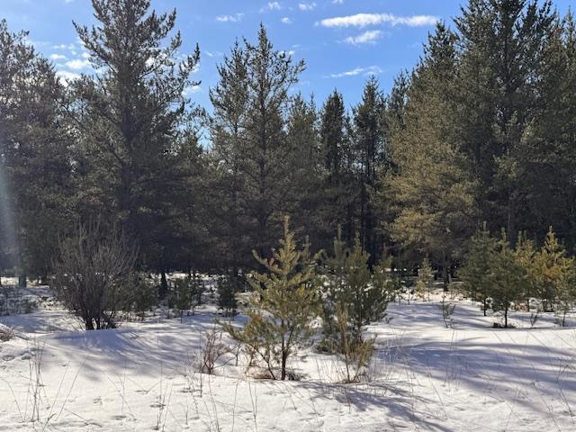 TBD Pine Cone Dr, Menahga, MN 56464