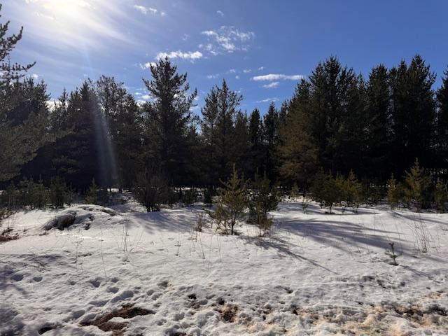 TBD Pine Cone Dr, Menahga, MN 56464