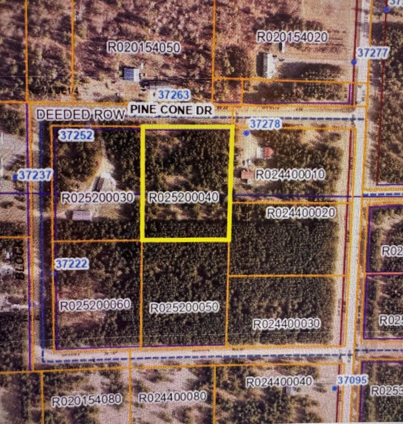 TBD Pine Cone Dr, Menahga, MN 56464