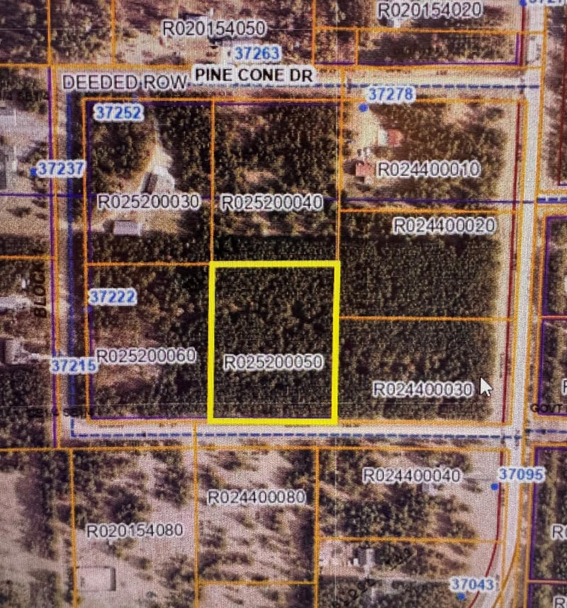 TBD Pine Cone Rd, Menahga, MN 56464