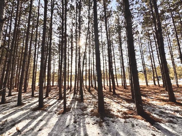 TBD Pine Cone Rd, Menahga, MN 56464