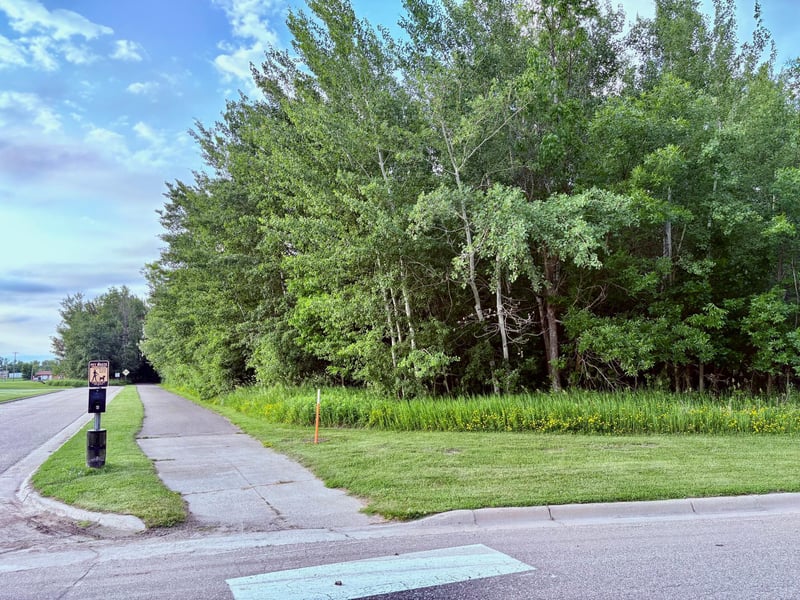 TBD Gladys St Ne, Warroad, MN 56763