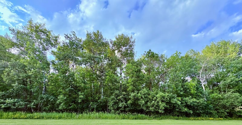 TBD Minnesota Ave Ne, Warroad, MN 56763