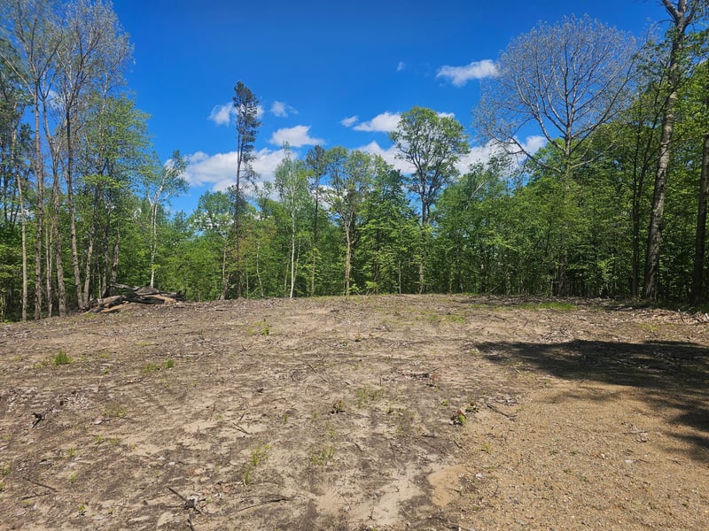 8366 Hidden Creek Ct, Pequot Lakes, MN 56472