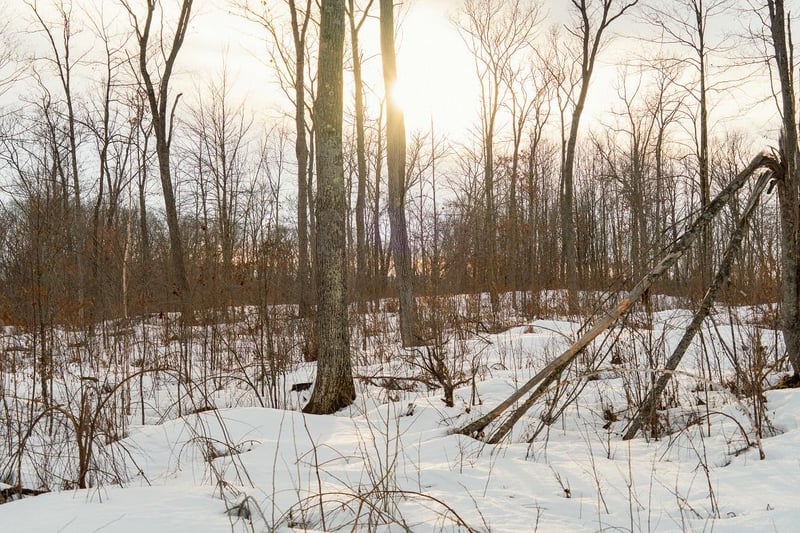 0 Fire Lane Rd, Springbrook, WI 54875