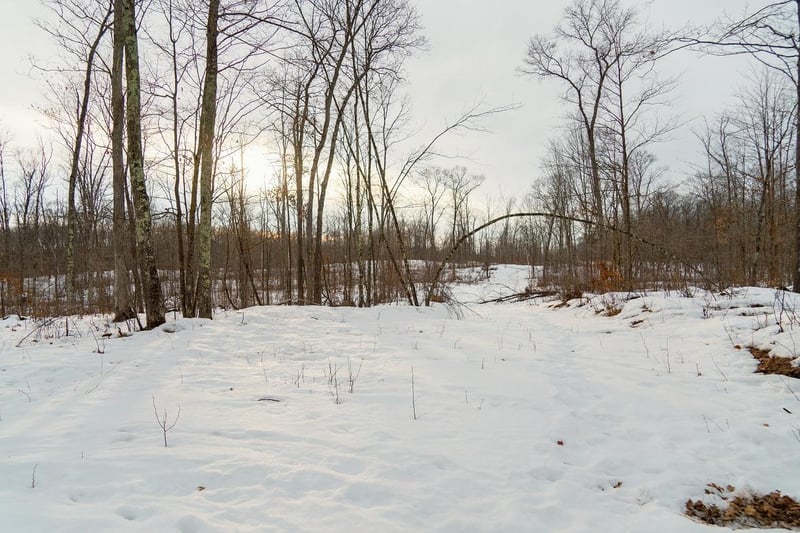 0 Fire Lane Rd, Springbrook, WI 54875