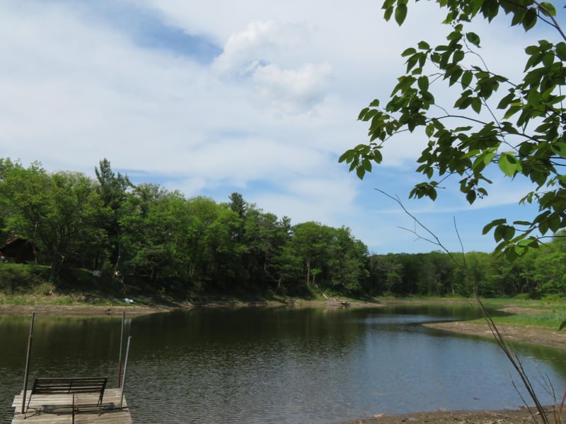 7072 Buckhorn Ps, Randall, MN 56475