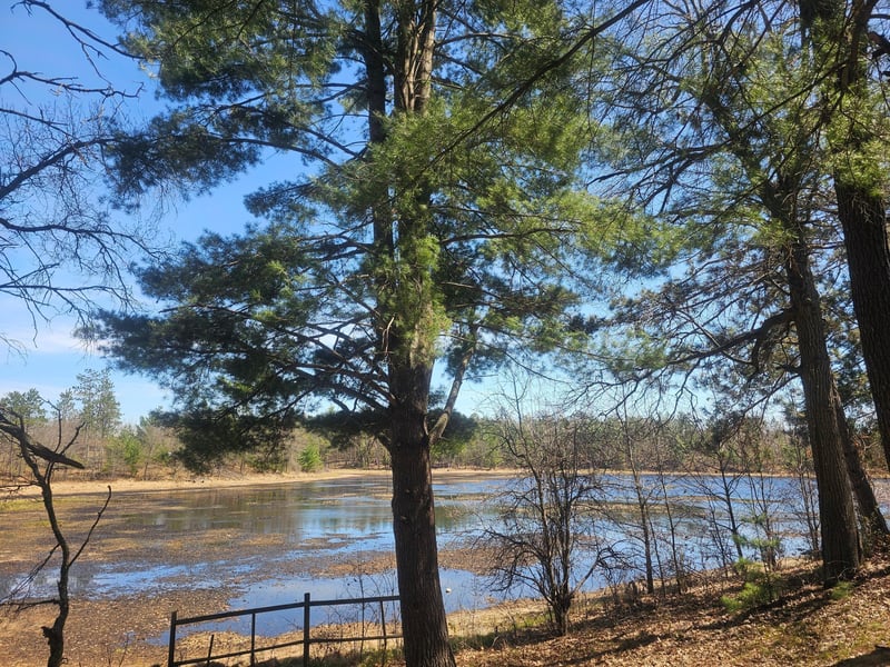 30284 N Nicaboyne Lake Rd, Danbury, WI 54830