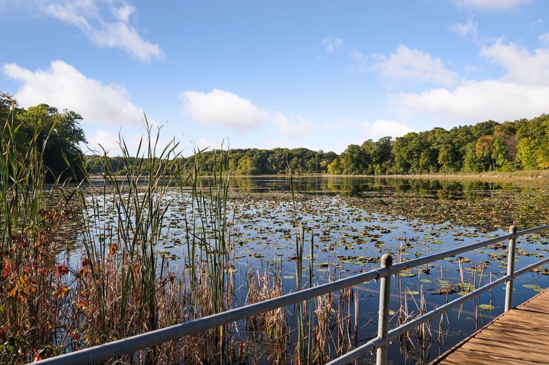 2584 N Saunders Lake Dr, Minnetrista, MN 55364