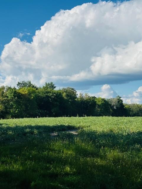 8XXX Rushseba Trl, Rush City, MN 55069