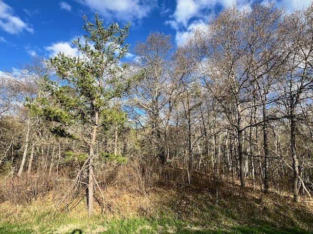 TBD Mikes Rd SW, Bemidji, MN 56601