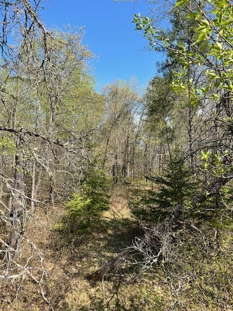 TBD Mikes Rd SW, Bemidji, MN 56601