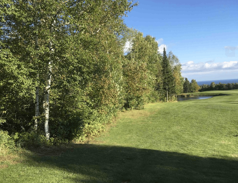 XXX Big Cedar Trl, Lutsen, MN 55612