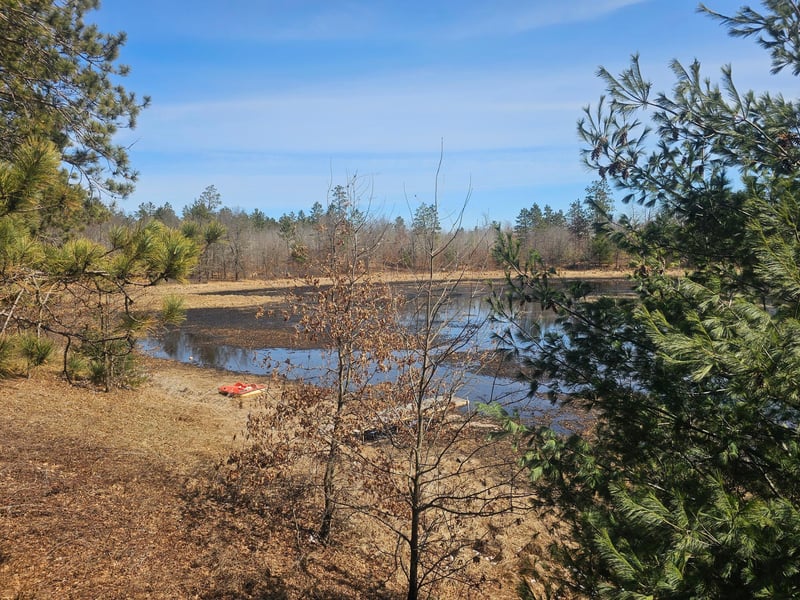 30270 N Nicaboyne Lake Rd, Danbury, WI 54830