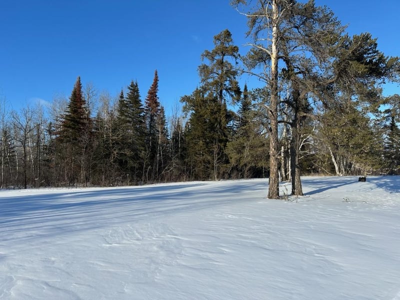 TBD State Highway 11, Warroad, MN 56763