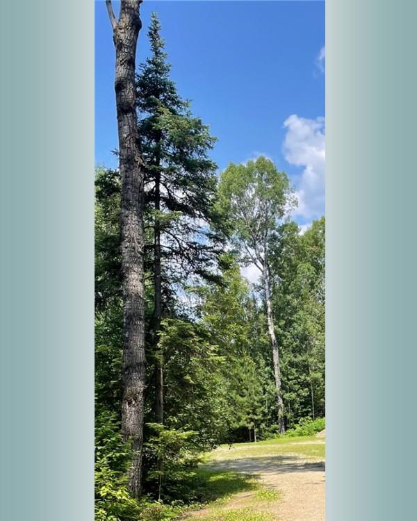 23XX Low Creek Rd, Ely, MN 55731