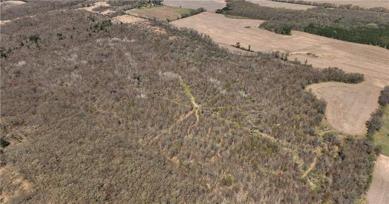 0 Highway 93, Eleva, WI 54738