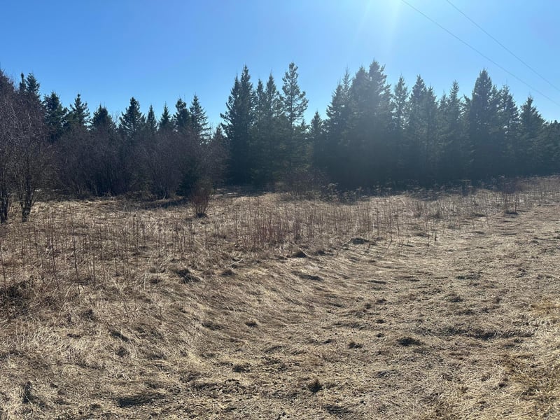 TBD County Road 31, Northome, MN 56661
