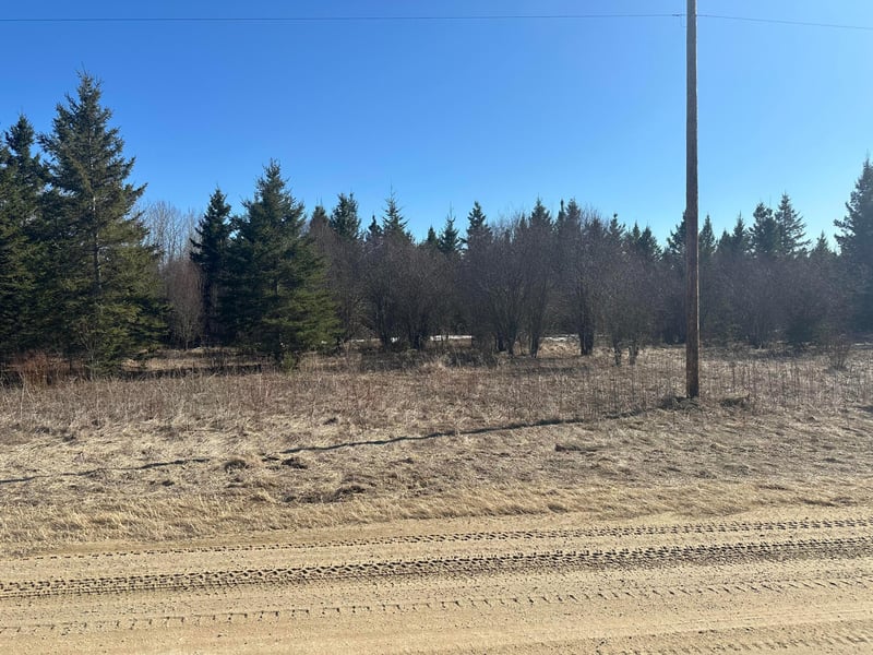 TBD County Road 31, Northome, MN 56661