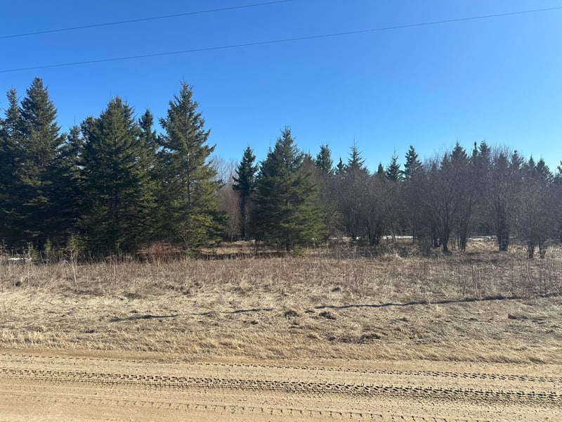 TBD County Road 31, Northome, MN 56661
