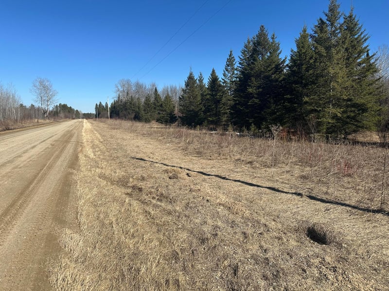 TBD County Road 31, Northome, MN 56661