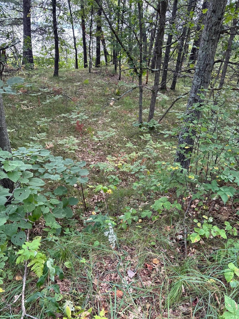 Lot 77 Airport Rd, Breezy Point, MN 56472