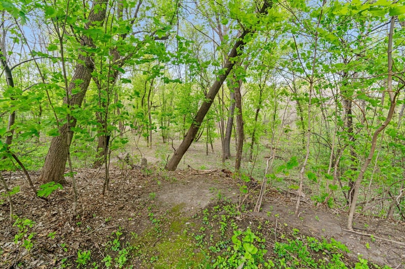 445 Bovey Rd, Wayzata, MN 55391