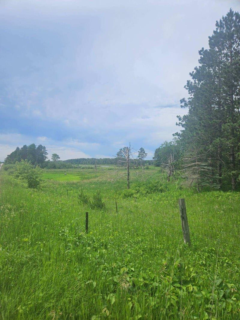 44985 400th Ave, Perham, MN 56573