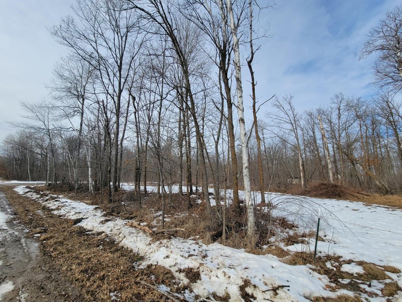 XXXX Black Bear Dr SW, Motley, MN 56466
