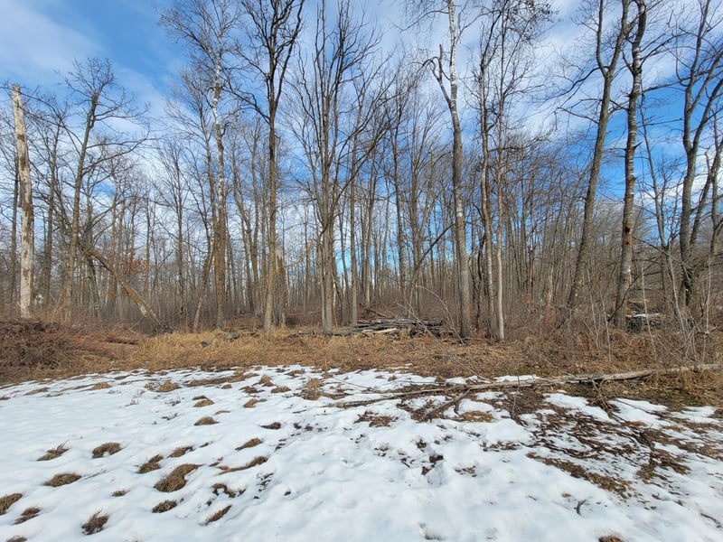 XXXX Black Bear Dr SW, Motley, MN 56466